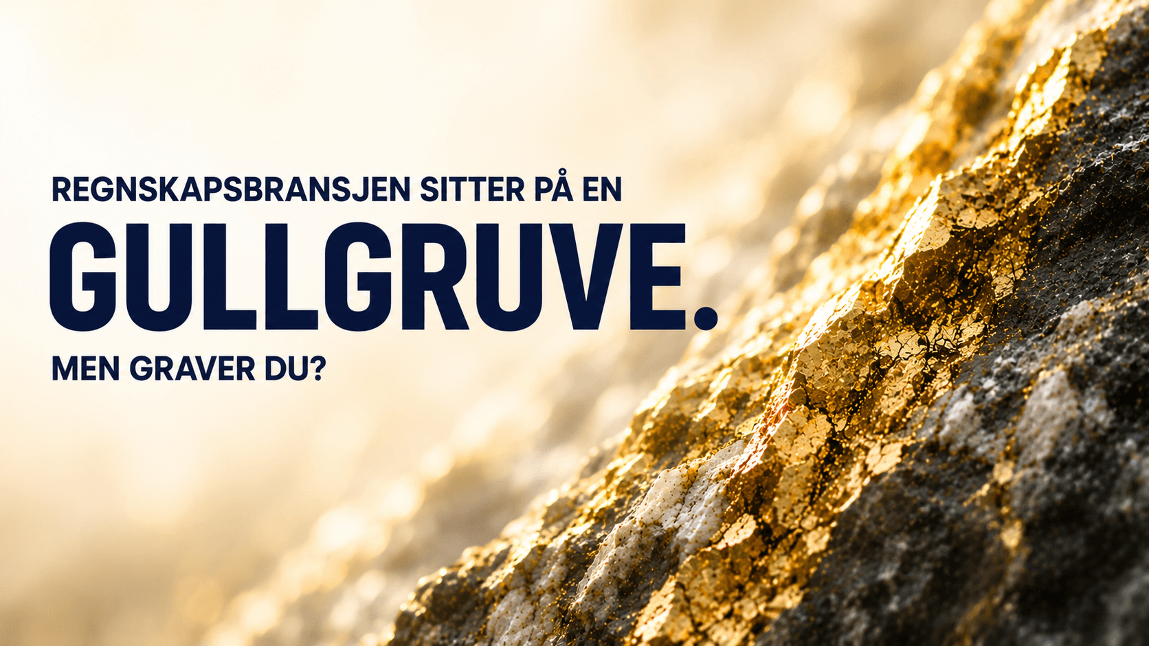 «Regnskapsbransjen sitter på en gullgruve. Men graver du?» tekst over et nærbilde av en gullåre i stein